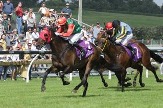 Indecision (NZ) claims third black-type win.